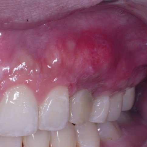 WhatsApp Image 2024-12-07 at 2.20.30 PM