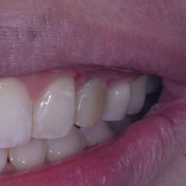 WhatsApp Image 2024-12-07 at 2.20.30 PM (1)