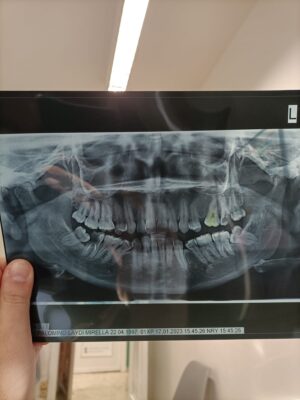 709f064c-266e-4ee8-9585-dc56e1086cac