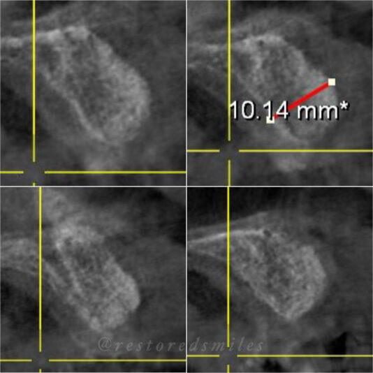 created by photogrid