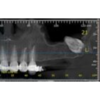 Untitled design (21)