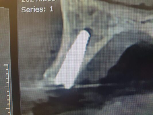 WhatsApp Image 2024-03-10 at 3.39.08 PM