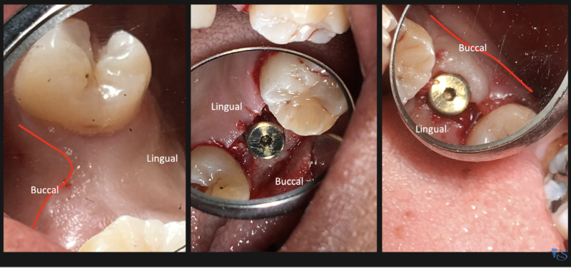 Screenshot 2024-03-25 at 5.05.26 PM