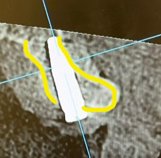 WhatsApp Image 2024-12-02 at 7.42.25 PM