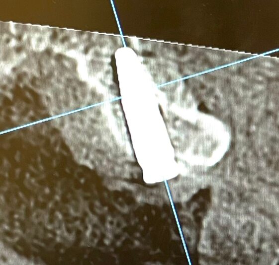 WhatsApp Image 2024-12-02 at 7.42.26 PM (1)