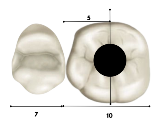 Copy of Desktop Course Advertisement (1080 x 1350 px) (1400 x 1080 px) (1)