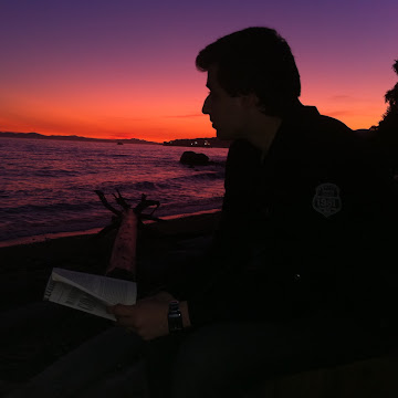 Profile photo of shahriarbehmanesh