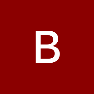 Profile photo of Bahador