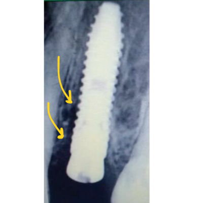 Untitled design (19)